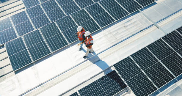 Best Roof Maintenance and Cleaning  in Woodridge, IL