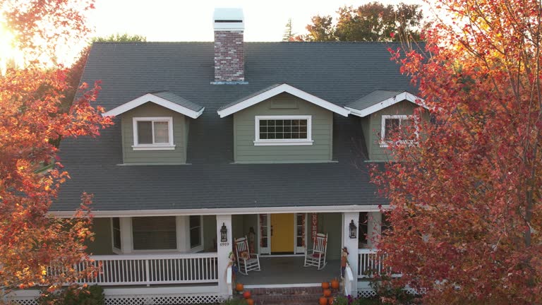 Best Sheet Metal Roofing  in Woodridge, IL