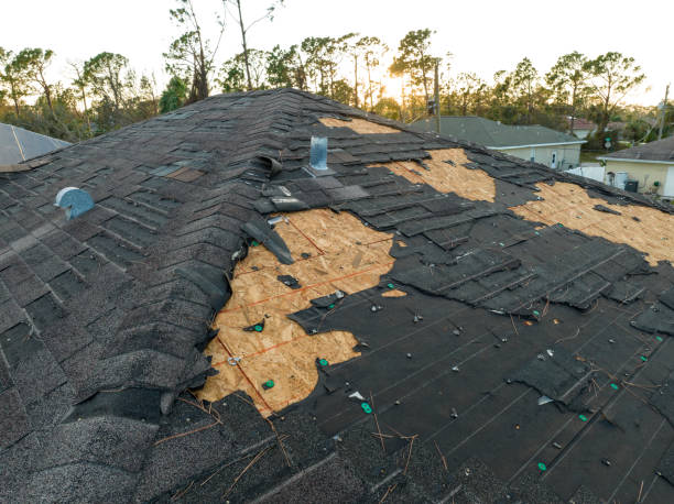 Best Gutter Installation and Repair  in Woodridge, IL