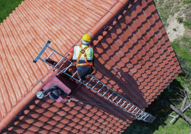 Best Rubber Roofing (EPDM, TPO)  in Woodridge, IL