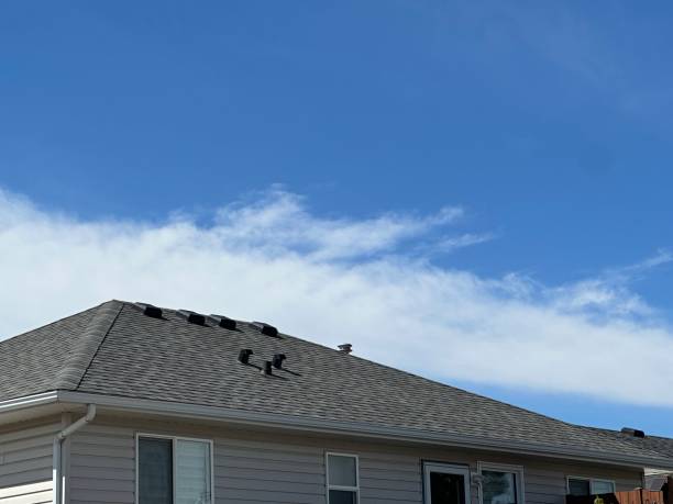 Best Cold Roofs  in Woodridge, IL